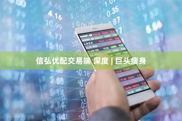 信弘优配交易端 深度 | 巨头瘦身