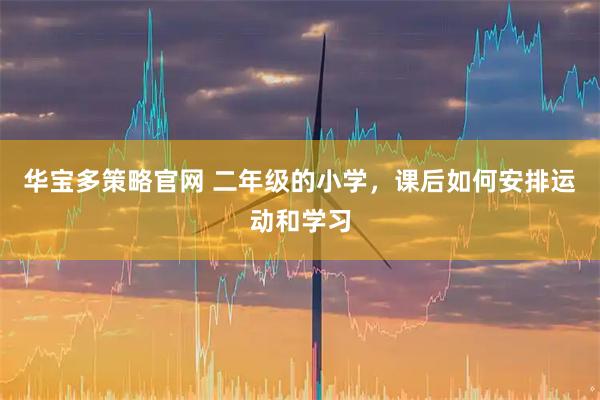 华宝多策略官网 二年级的小学，课后如何安排运动和学习