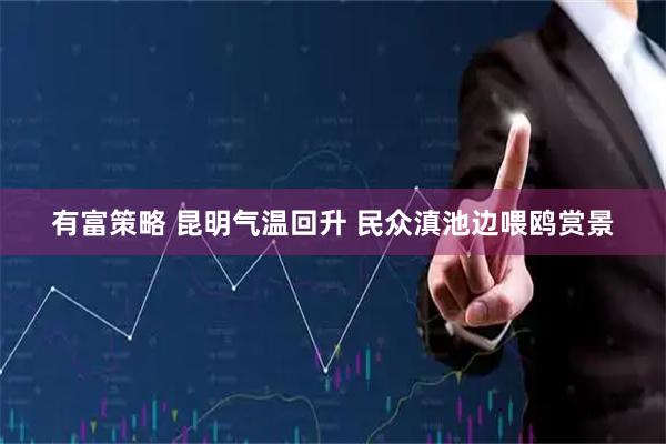 有富策略 昆明气温回升 民众滇池边喂鸥赏景
